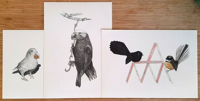 NZ Wildlife A4 Prints
