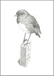 NZ Wildlife Greeting Cards